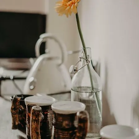 Center Stylish 3 Bedroom Apartament Sofia