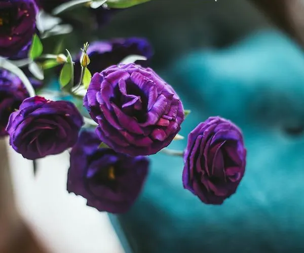 Апартамент Center Stylish 3 Bedroom София